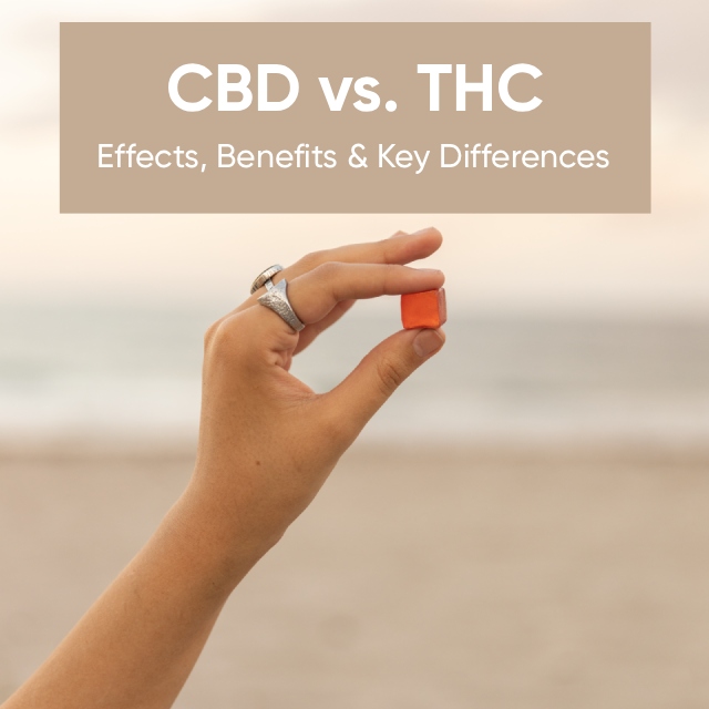 CBD vs. THC